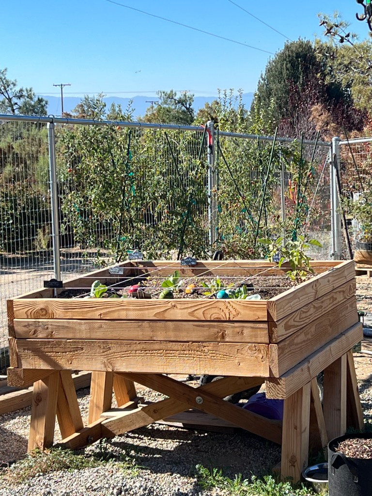 This image has an empty alt attribute; its file name is img_5260.jpeg